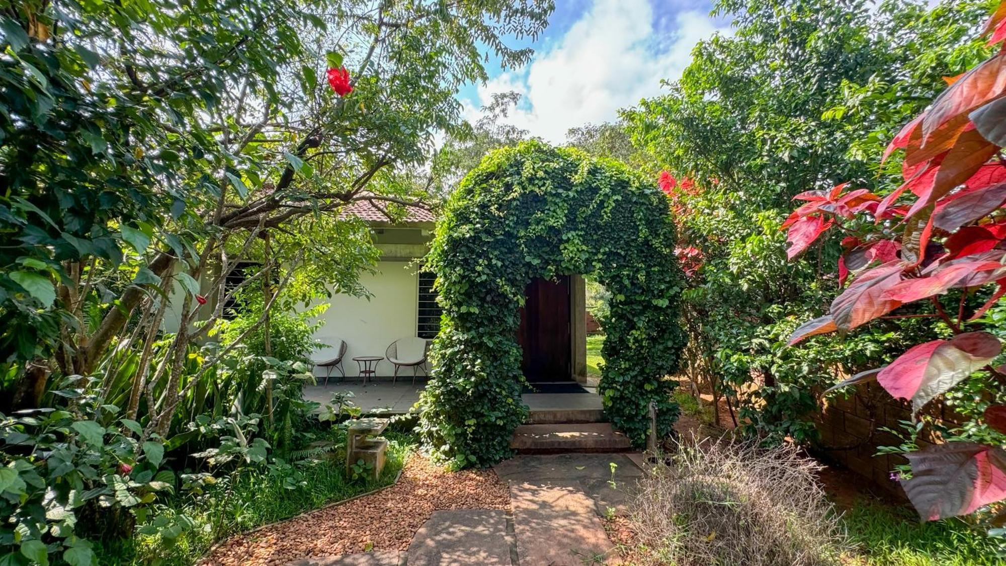 Temple Tree Retreat Bed & Breakfast Auroville Exterior photo